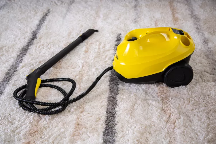 Steam Vacuum Cleaners 
