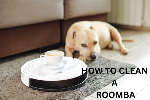 How To Clean a Roomba 8 How To Clean a Roomba
