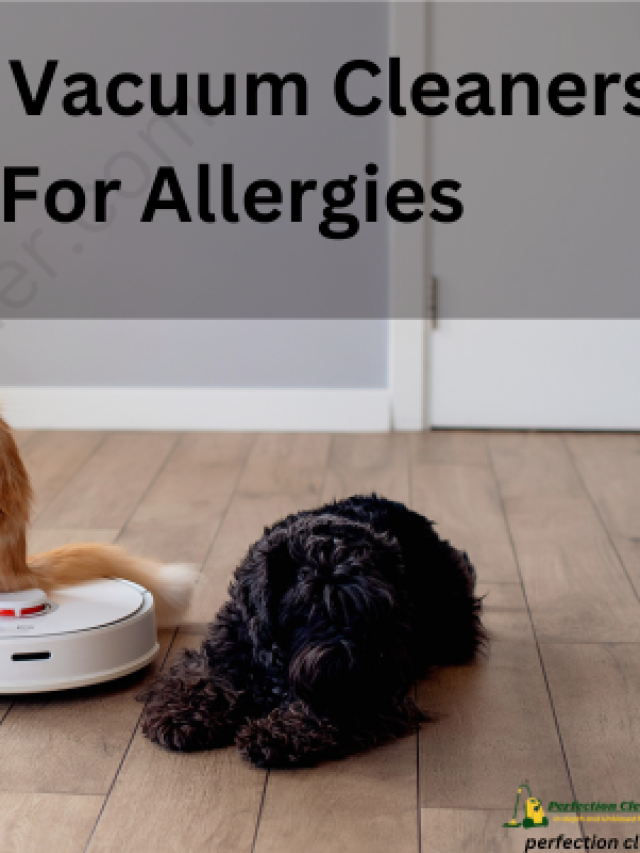 What vacuum cleaners are best for allergies, pets and carpets?