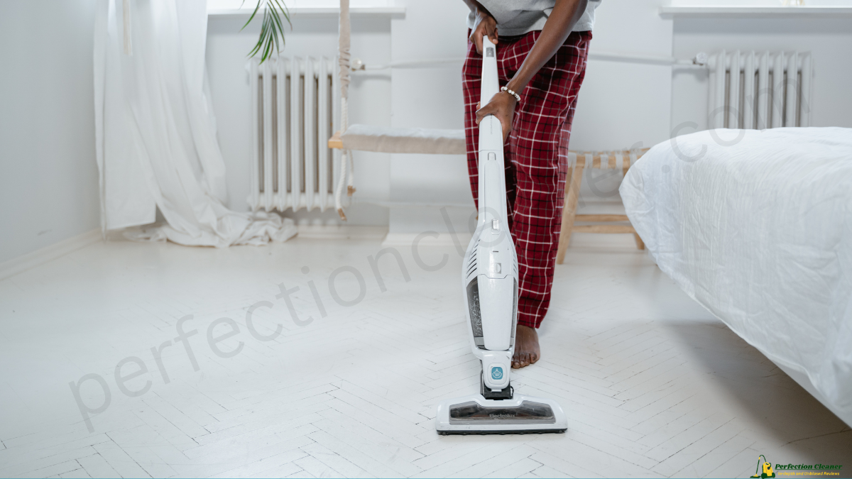 Are Riccar Vacuums Good? 2024