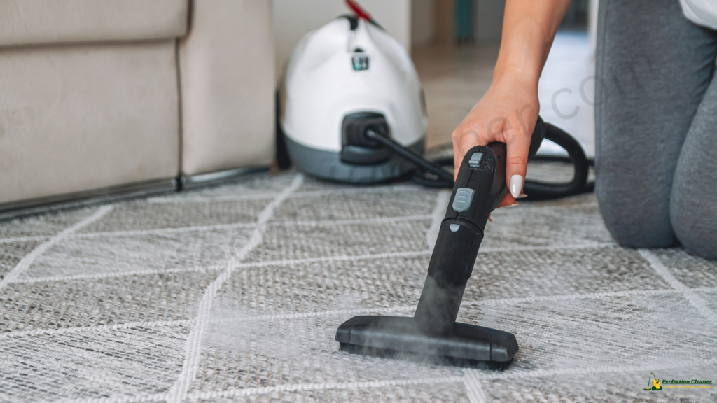 Does Stanley Steemer Vacuum Before Cleaning 4 Does Stanley Steemer Vacuum Before Cleaning