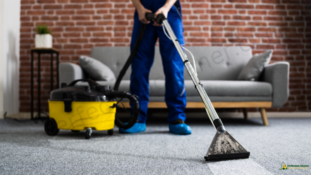 Does Stanley Steemer Vacuum Before Cleaning 3 Does Stanley Steemer Vacuum Before Cleaning