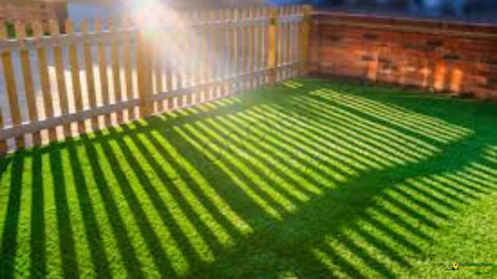 The Surprising Truth About Vacuuming Artificial Turf: Cleaning Myths and Techniques 2 The Surprising Truth About Vacuuming Artificial Turf: Cleaning Myths and Techniques