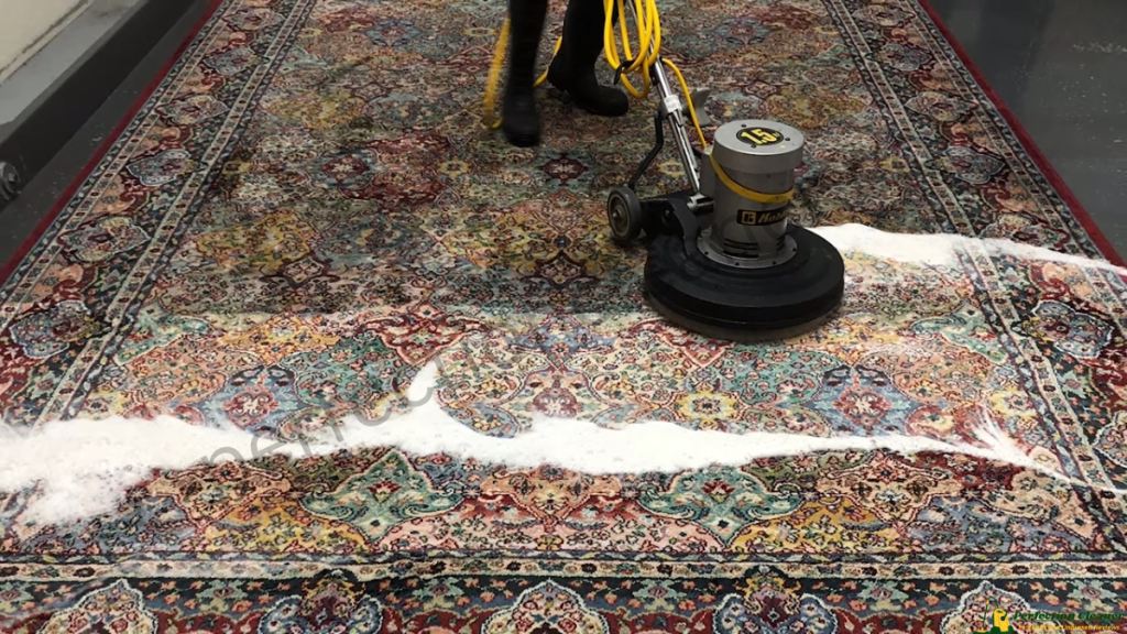 Why Vacuuming After Shampooing is Important