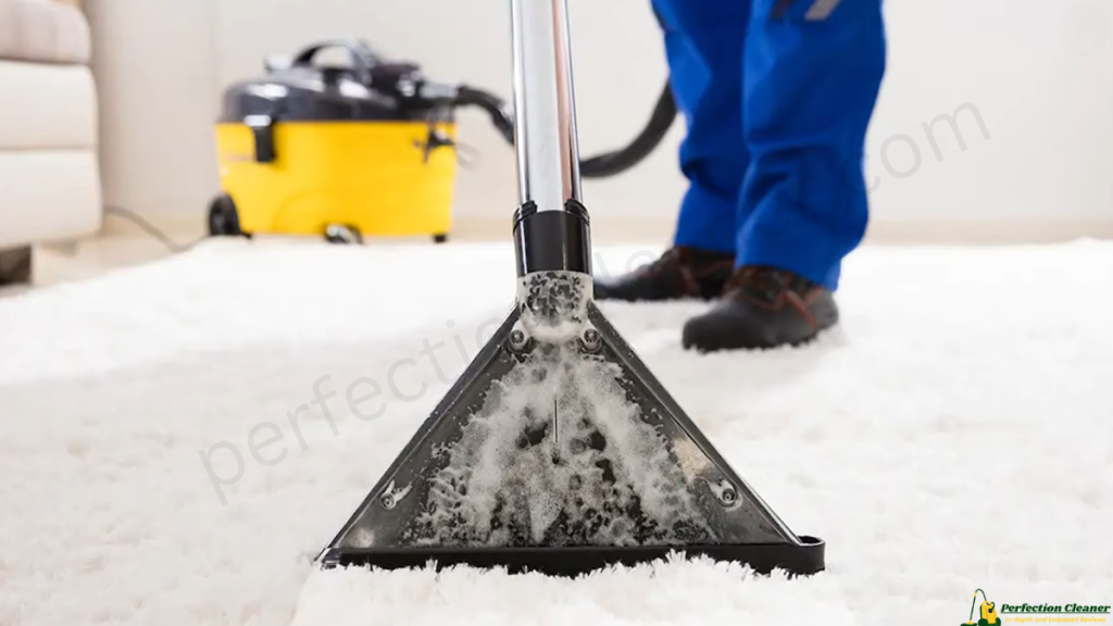 Signs Your Carpet is Ready for Vacuuming