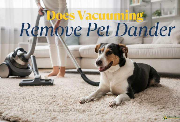 Does Vacuuming Remove Pet Dander? Guide for Allergy-Free Living