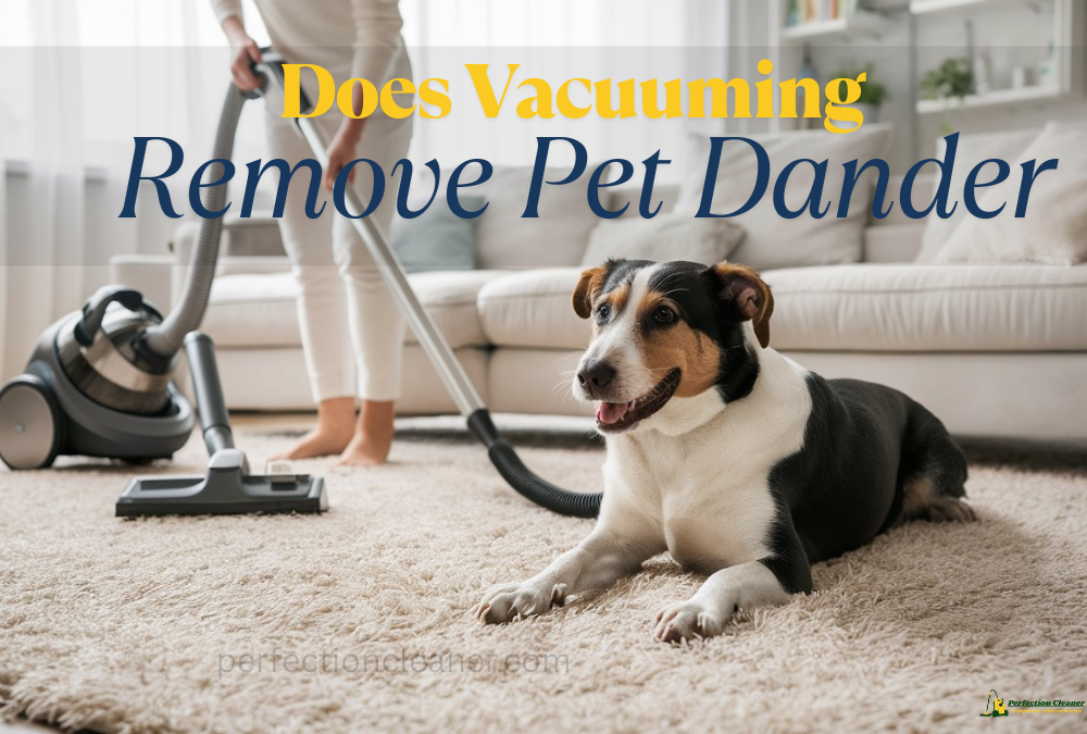Does Vacuuming Remove Pet Dander? The Ultimate Guide for Pet Owners 1 Does Vacuuming Remove Pet Dander? Guide for Allergy-Free Living