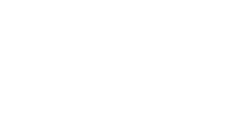 PerfectionCleaner